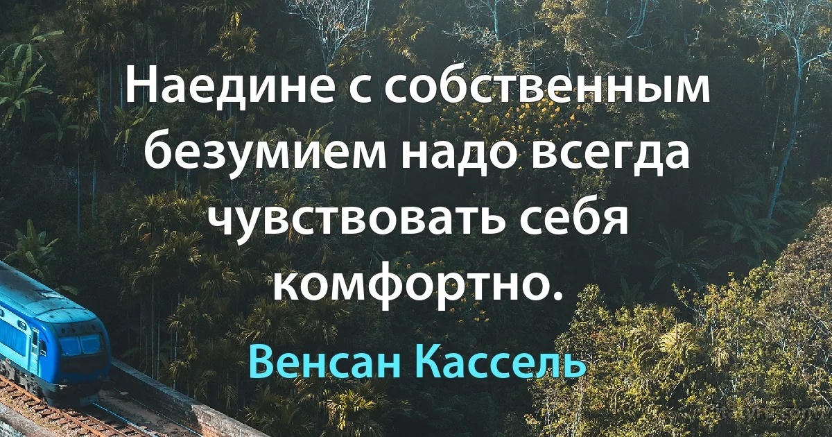 Наедине с собственным безумием надо всегда чувствовать себя комфортно. (Венсан Кассель)