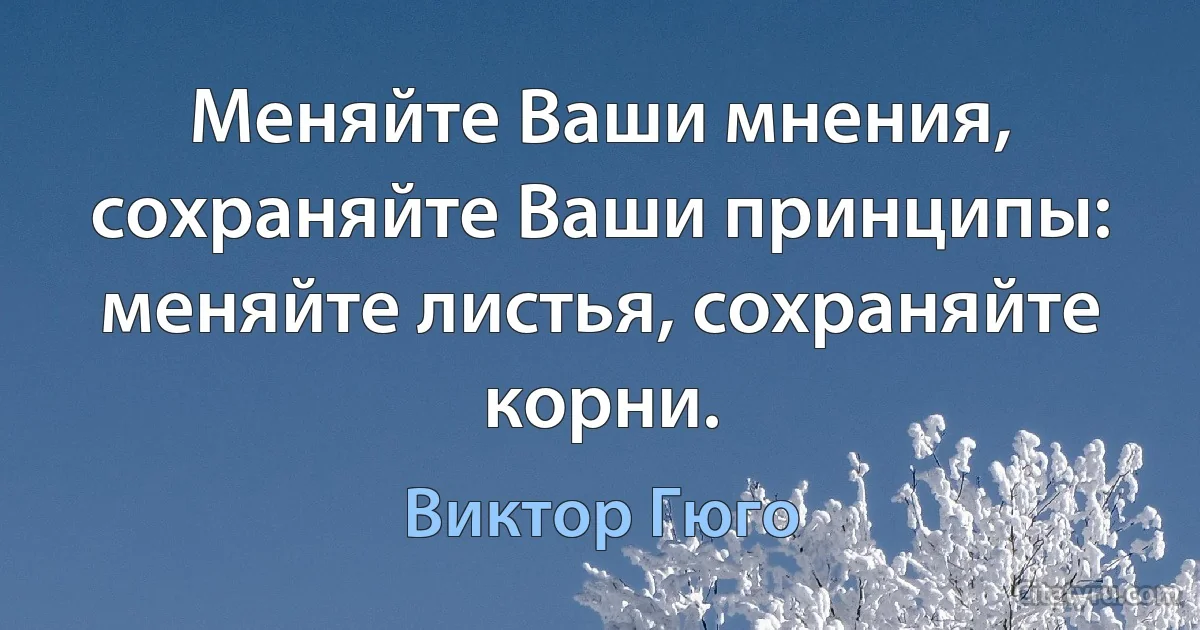 Меняйте Ваши мнения, сохраняйте Ваши принципы: меняйте листья, сохраняйте корни. (Виктор Гюго)