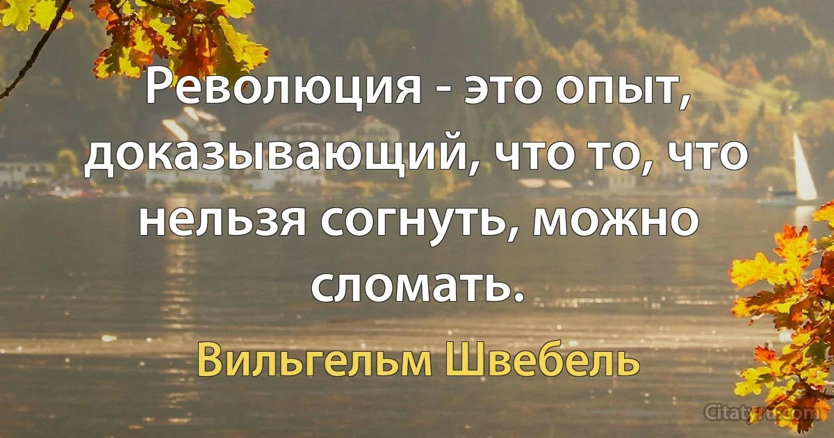 Революция - это опыт, доказывающий, что то, что нельзя согнуть, можно сломать. (Вильгельм Швебель)