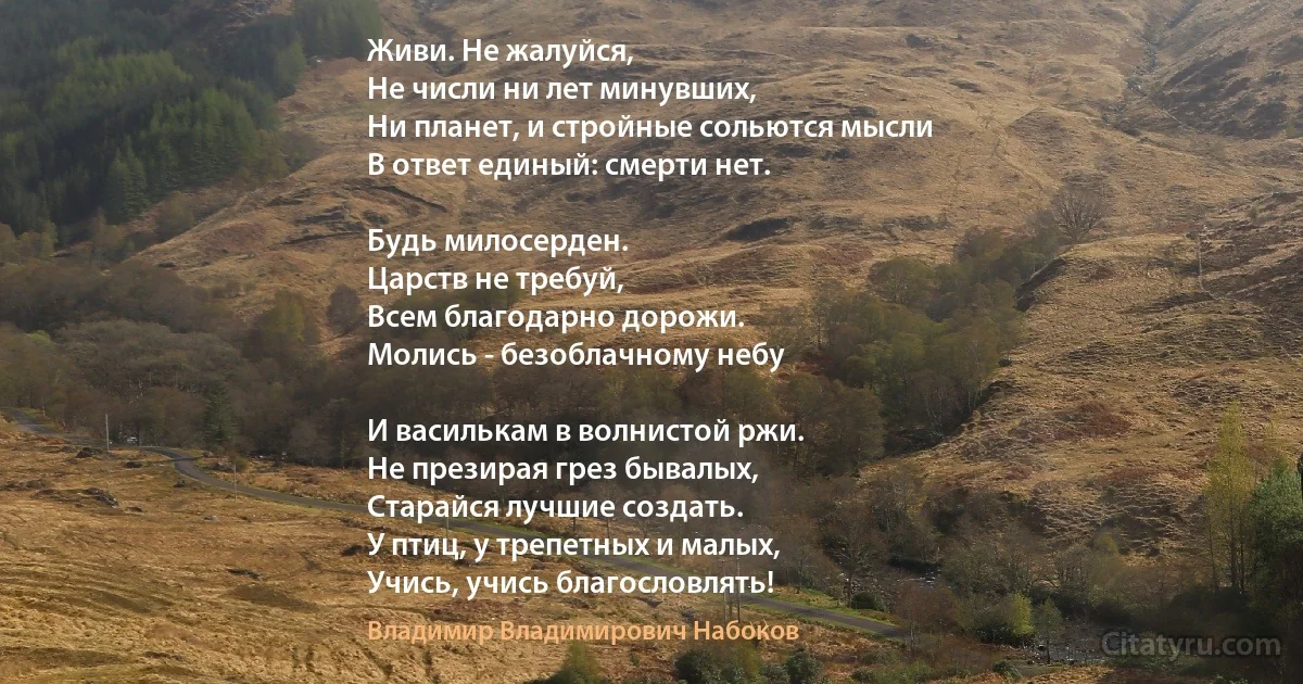 Живи. Не жалуйся, 
Не числи ни лет минувших, 
Ни планет, и стройные сольются мысли
В ответ единый: смерти нет. 

Будь милосерден. 
Царств не требуй,
Всем благодарно дорожи.
Молись - безоблачному небу 

И василькам в волнистой ржи. 
Не презирая грез бывалых,
Старайся лучшие создать.
У птиц, у трепетных и малых, 
Учись, учись благословлять! (Владимир Владимирович Набоков)