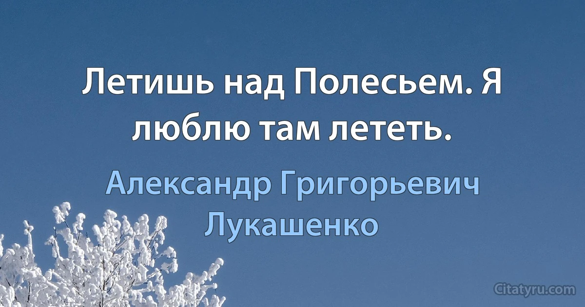 Летишь над Полесьем. Я люблю там лететь. (Александр Григорьевич Лукашенко)