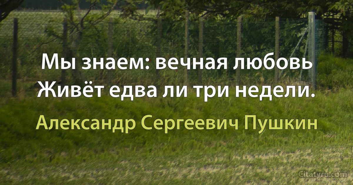 Мы знаем: вечная любовь
Живёт едва ли три недели. (Александр Сергеевич Пушкин)