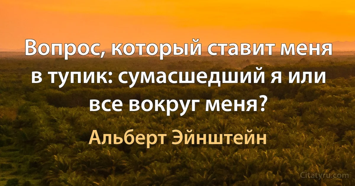 Вопрос, который ставит меня в тупик: сумасшедший я или все вокруг меня? (Альберт Эйнштейн)