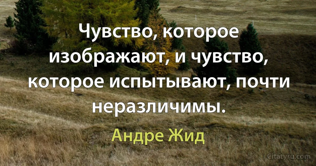 Чувство, которое изображают, и чувство, которое испытывают, почти неразличимы. (Андре Жид)