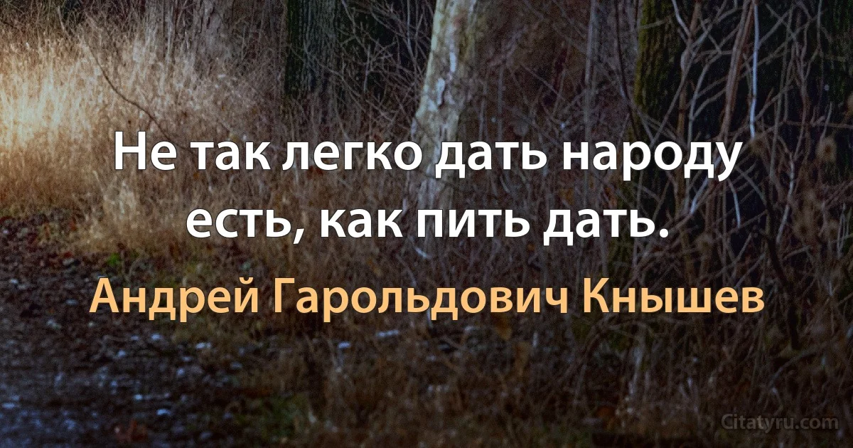 Не так легко дать народу есть, как пить дать. (Андрей Гарольдович Кнышев)