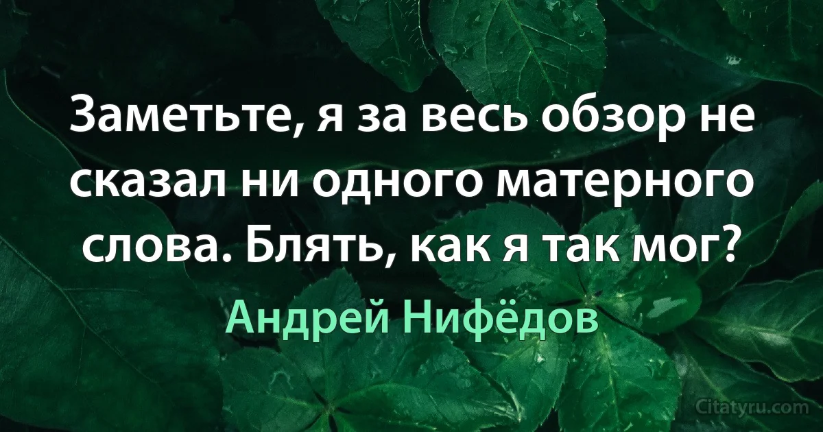 Заметьте, я за весь обзор не сказал ни одного матерного слова. Блять, как я так мог? (Андрей Нифёдов)