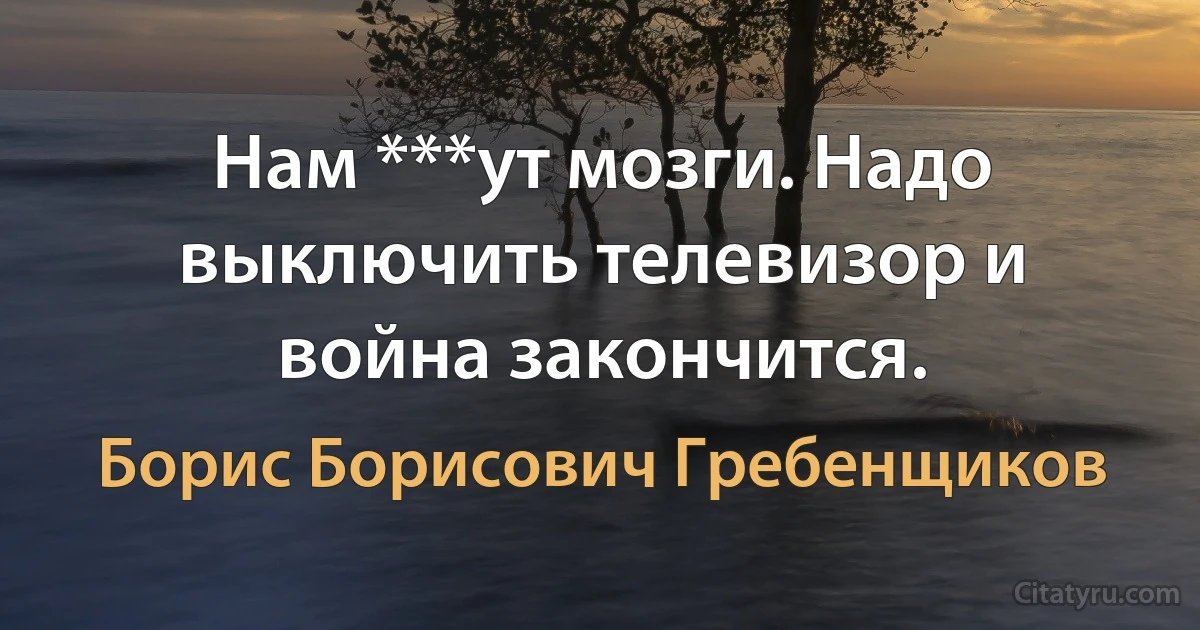 Нам ***ут мозги. Надо выключить телевизор и война закончится. (Борис Борисович Гребенщиков)