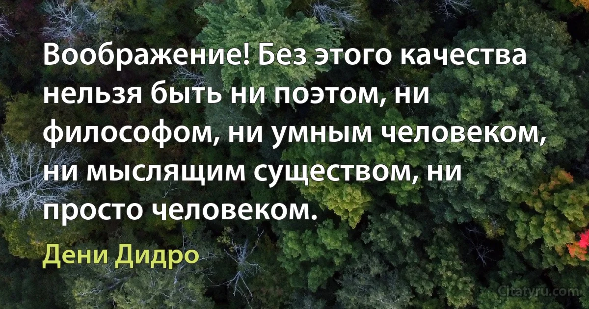 Воображение! Без этого качества нельзя быть ни поэтом, ни философом, ни умным человеком, ни мыслящим существом, ни просто человеком. (Дени Дидро)