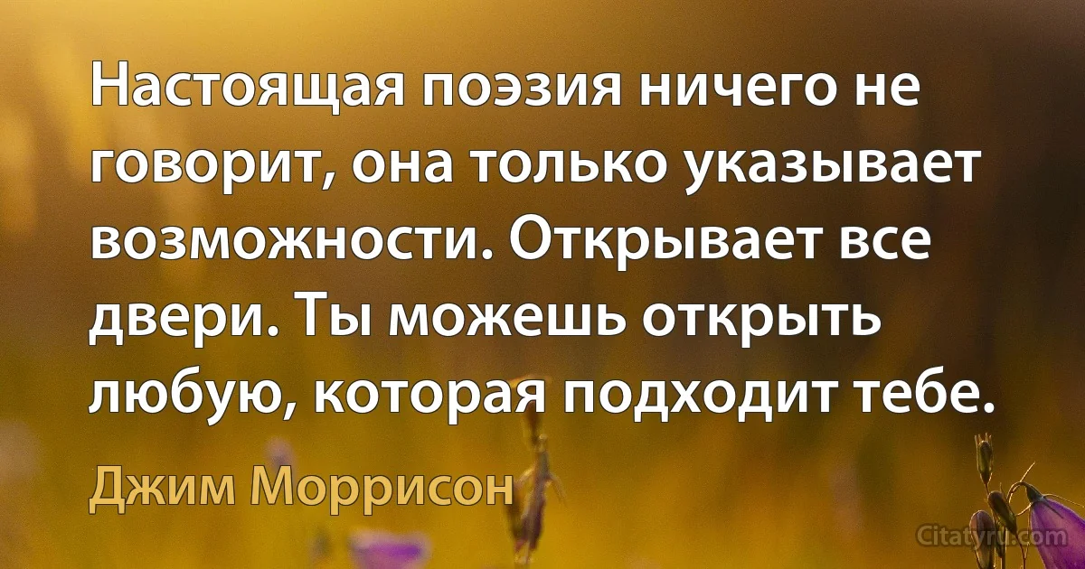 Настоящая поэзия ничего не говорит, она только указывает возможности. Открывает все двери. Ты можешь открыть любую, которая подходит тебе. (Джим Моррисон)