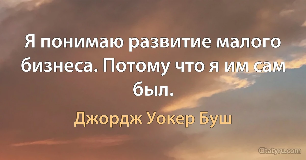 Я понимаю развитие малого бизнеса. Потому что я им сам был. (Джордж Уокер Буш)