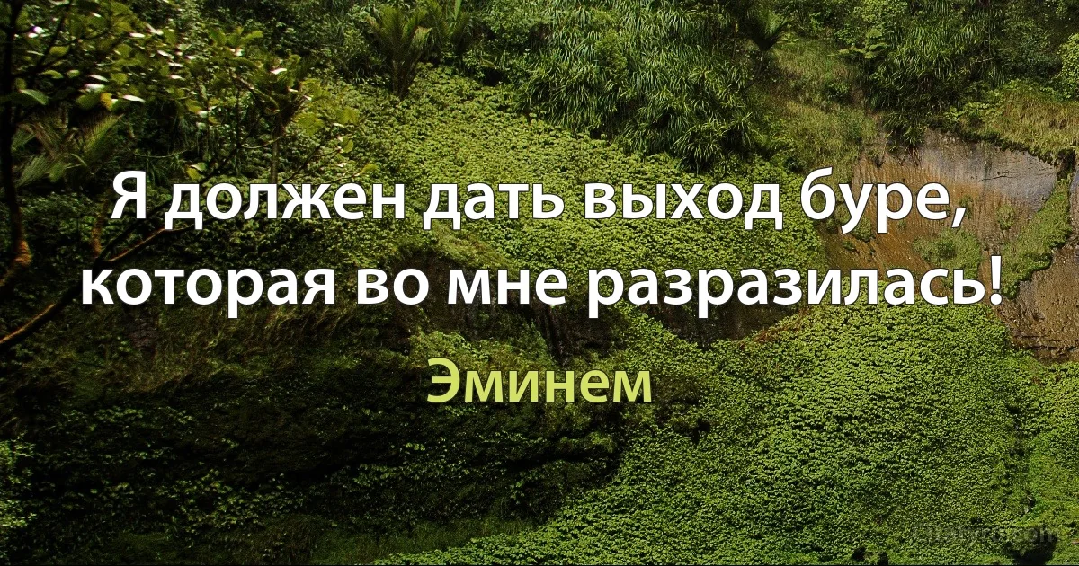 Я должен дать выход буре, которая во мне разразилась! (Эминем)