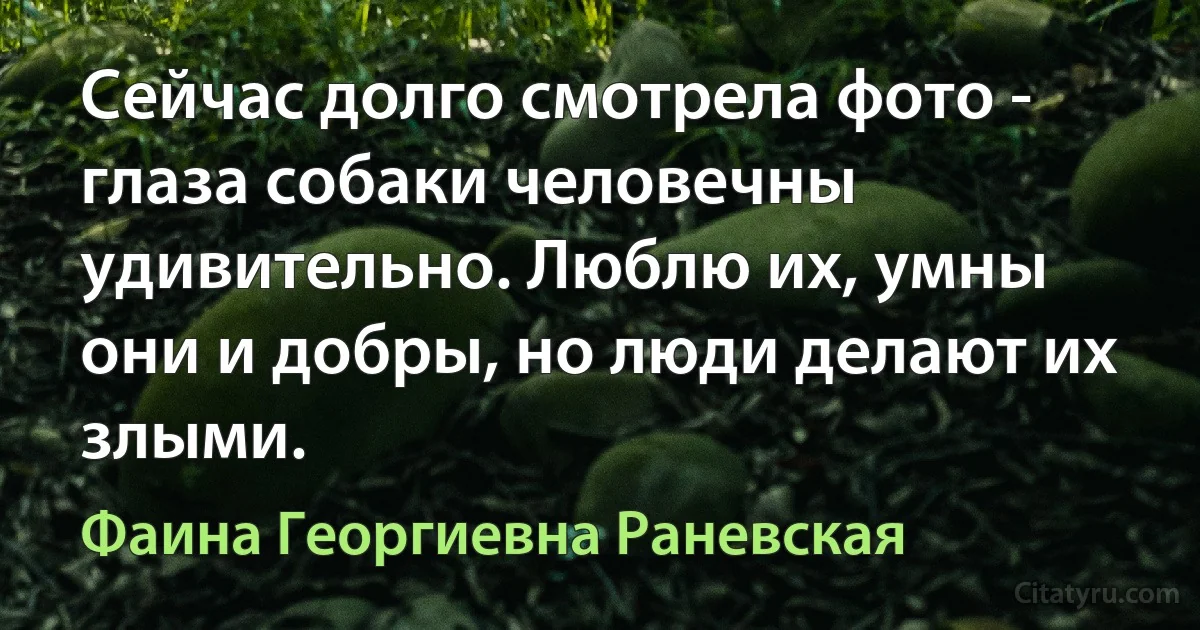 Сейчас долго смотрела фото - глаза собаки человечны удивительно. Люблю их, умны они и добры, но люди делают их злыми. (Фаина Георгиевна Раневская)