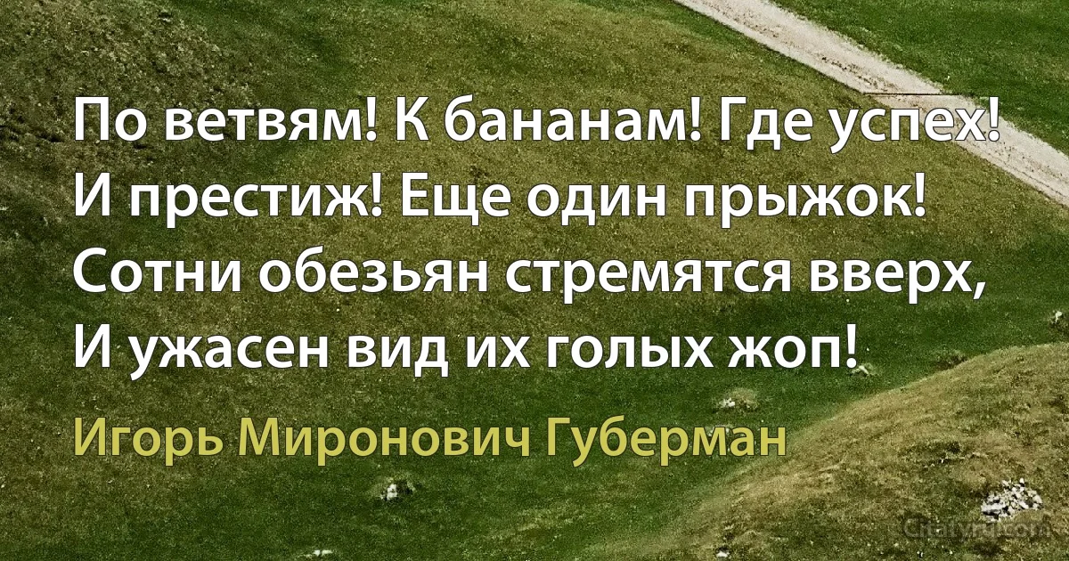 По ветвям! К бананам! Где успех!
И престиж! Еще один прыжок!
Сотни обезьян стремятся вверх,
И ужасен вид их голых жоп! (Игорь Миронович Губерман)