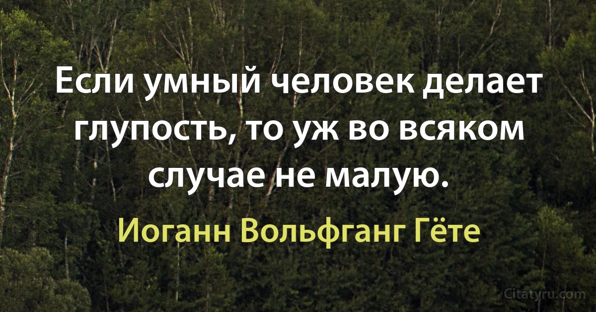 Если умный человек делает глупость, то уж во всяком случае не малую. (Иоганн Вольфганг Гёте)