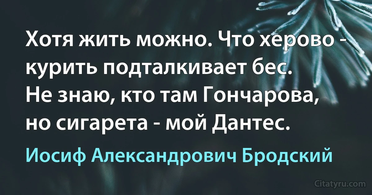 Хотя жить можно. Что херово -
курить подталкивает бес.
Не знаю, кто там Гончарова,
но сигарета - мой Дантес. (Иосиф Александрович Бродский)