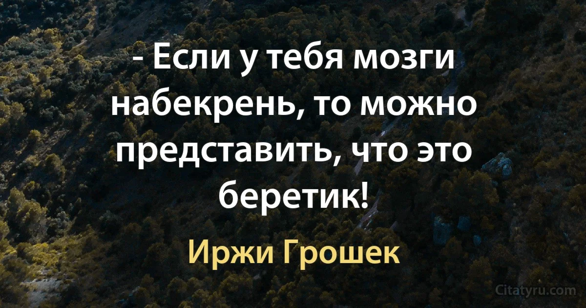 - Если у тебя мозги набекрень, то можно представить, что это беретик! (Иржи Грошек)