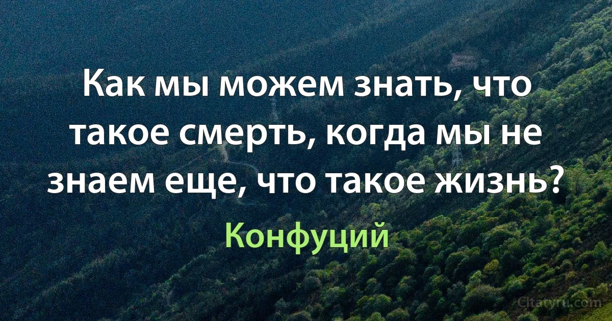 Как мы можем знать, что такое смерть, когда мы не знаем еще, что такое жизнь? (Конфуций)