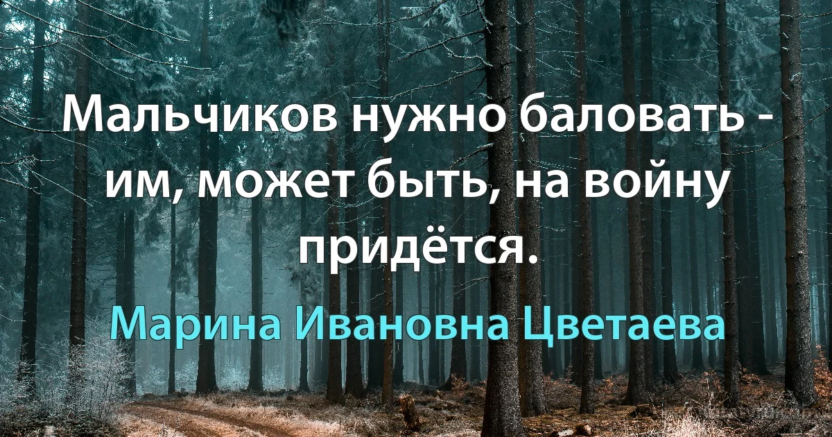 Мальчиков нужно баловать - им, может быть, на войну придётся. (Марина Ивановна Цветаева)