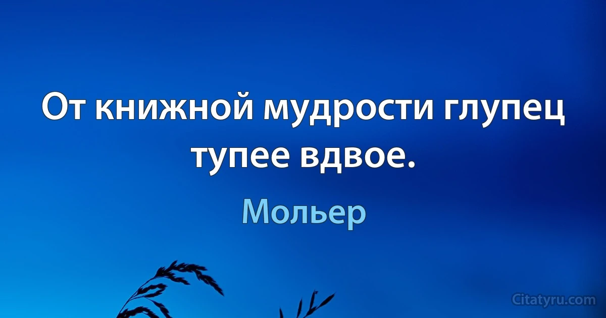 От книжной мудрости глупец тупее вдвое. (Мольер)