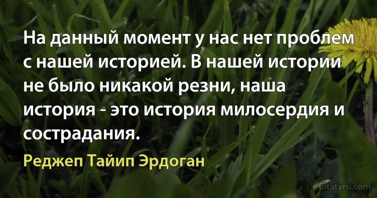 На данный момент у нас нет проблем с нашей историей. В нашей истории не было никакой резни, наша история - это история милосердия и сострадания. (Реджеп Тайип Эрдоган)