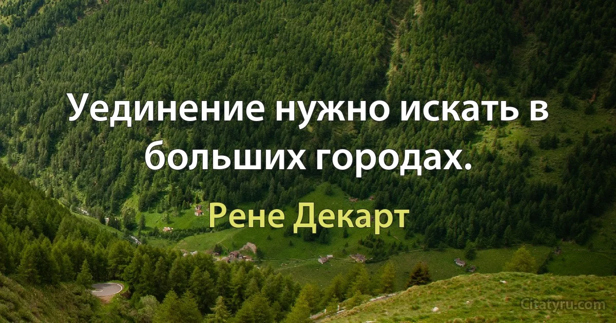 Уединение нужно искать в больших городах. (Рене Декарт)