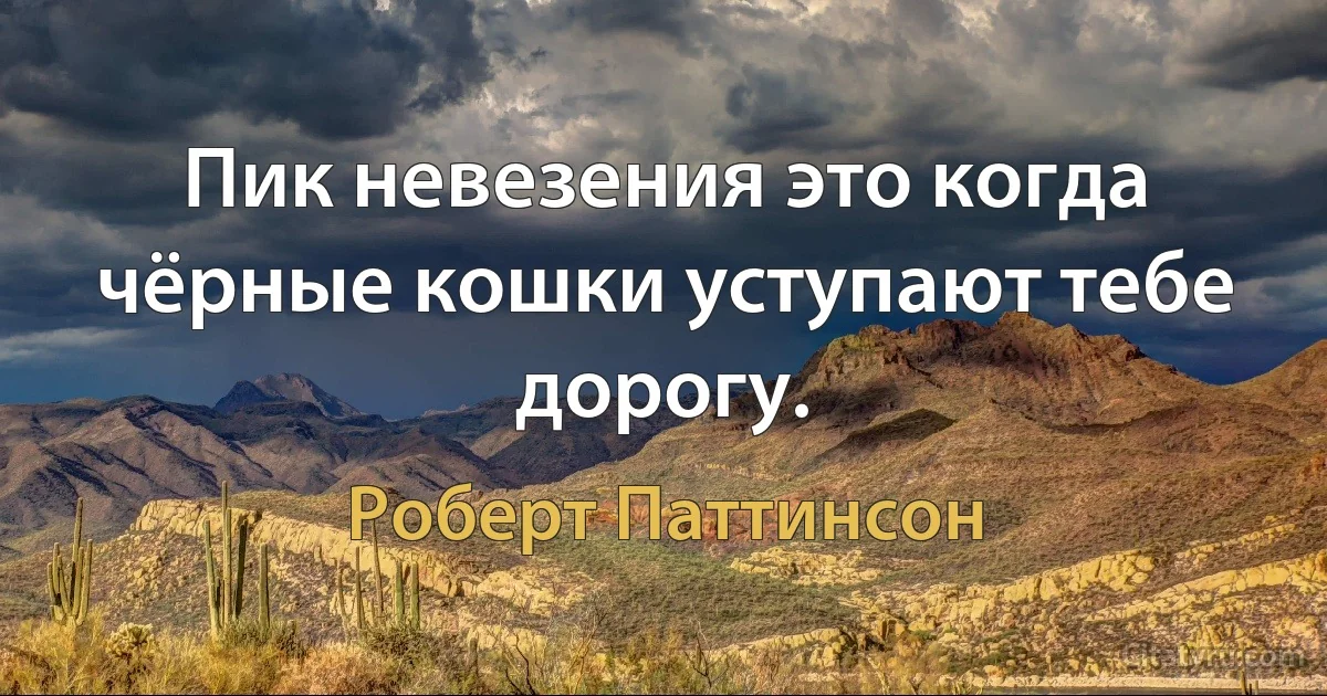 Пик невезения это когда чёрные кошки уступают тебе дорогу. (Роберт Паттинсон)