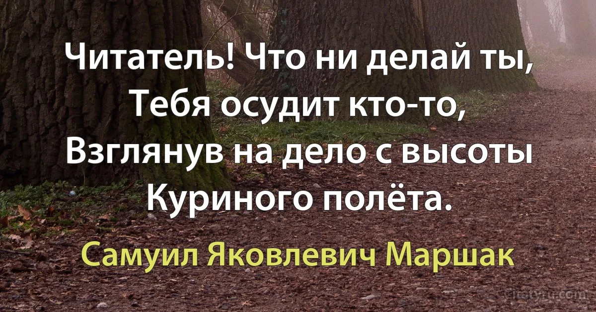 Читатель! Что ни делай ты,
Тебя осудит кто-то,
Взглянув на дело с высоты
Куриного полёта. (Самуил Яковлевич Маршак)