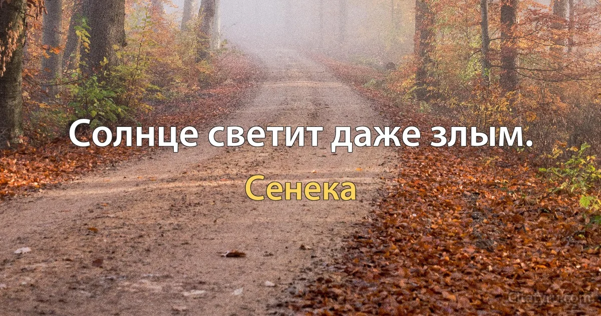 Солнце светит даже злым. (Сенека)