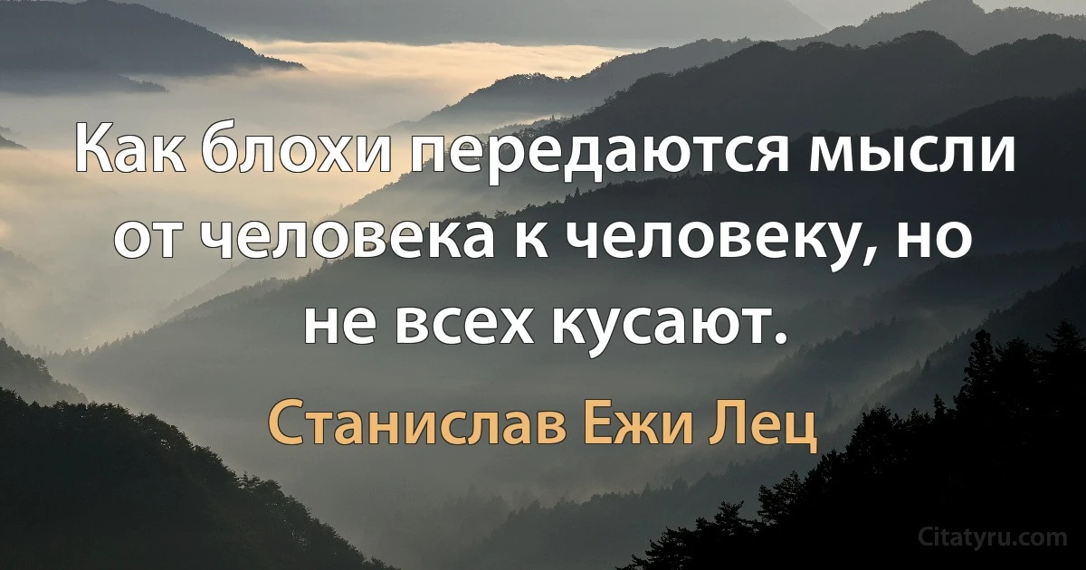 Как блохи передаются мысли от человека к человеку, но не всех кусают. (Станислав Ежи Лец)