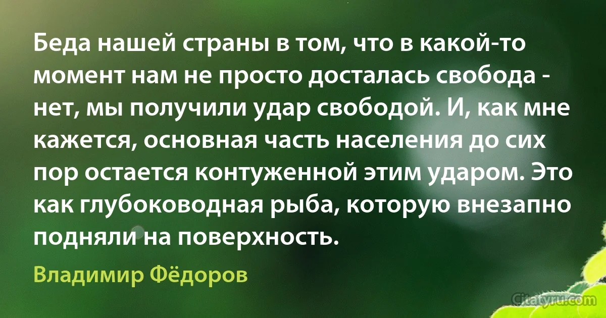 Беда нашей страны в том, что в какой-то момент нам не просто досталась свобода - нет, мы получили удар свободой. И, как мне кажется, основная часть населения до сих пор остается контуженной этим ударом. Это как глубоководная рыба, которую внезапно подняли на поверхность. (Владимир Фёдоров)