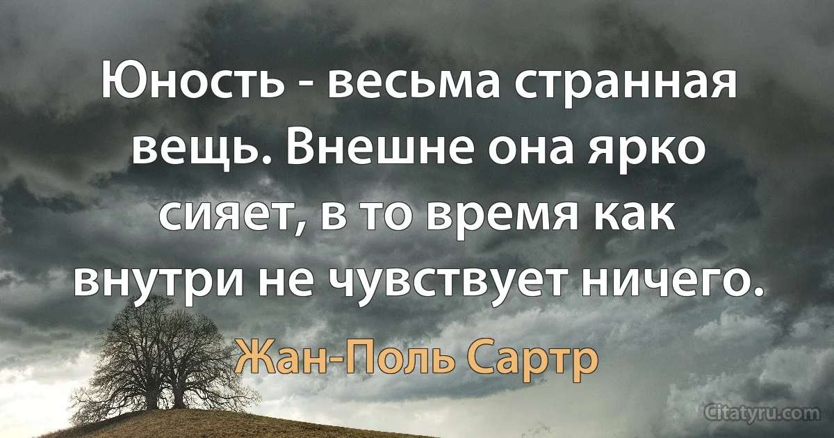 Юность - весьма странная вещь. Внешне она ярко сияет, в то время как внутри не чувствует ничего. (Жан-Поль Сартр)