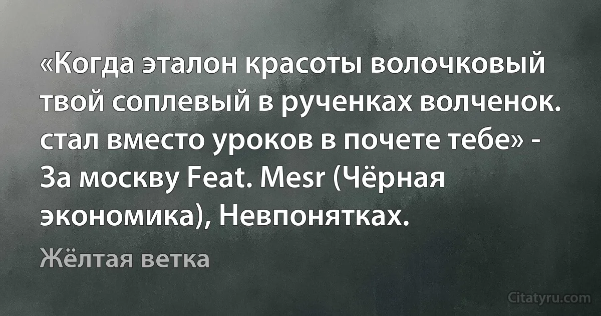 «Когда эталон красоты волочковый твой соплевый в рученках волченок. стал вместо уроков в почете тебе» - За москву Feat. Mesr (Чёрная экономика), Невпонятках. (Жёлтая ветка)