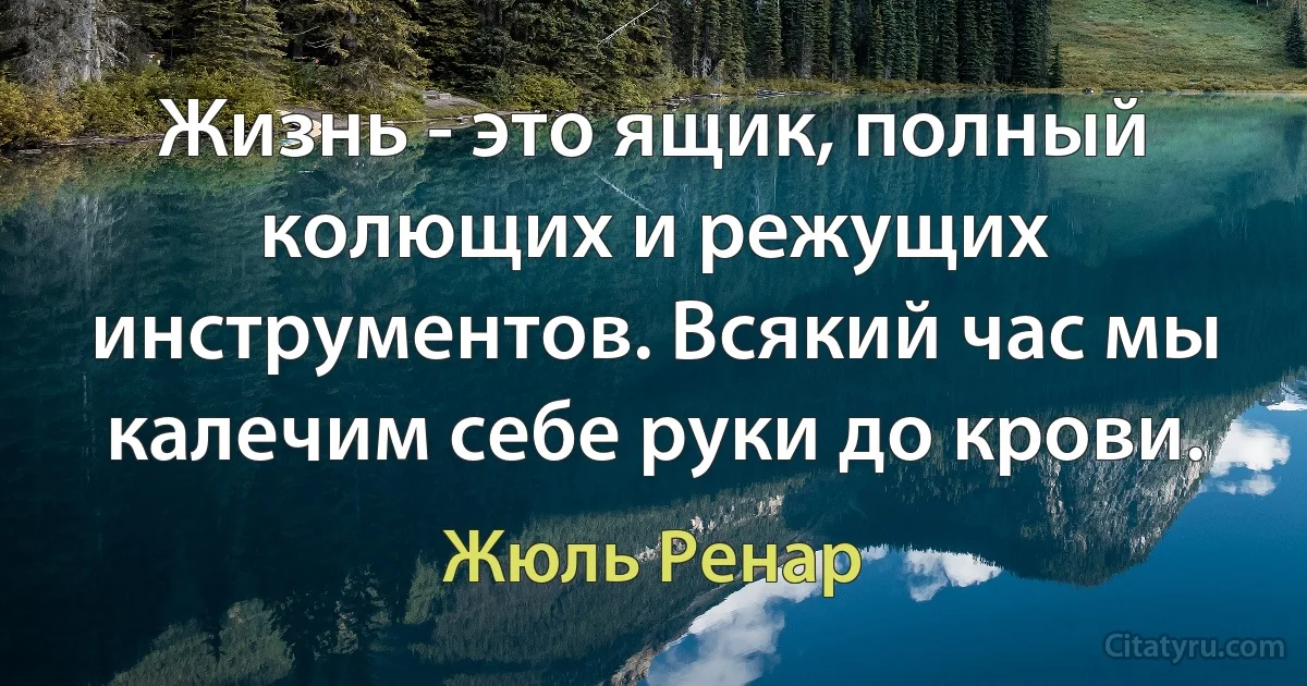 Жизнь - это ящик, полный колющих и режущих инструментов. Всякий час мы калечим себе руки до крови. (Жюль Ренар)