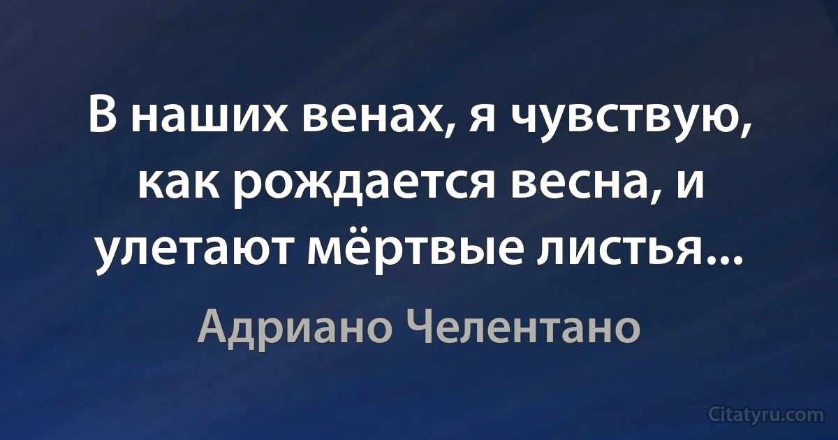 В наших венах, я чувствую, как рождается весна, и улетают мёртвые листья... (Адриано Челентано)