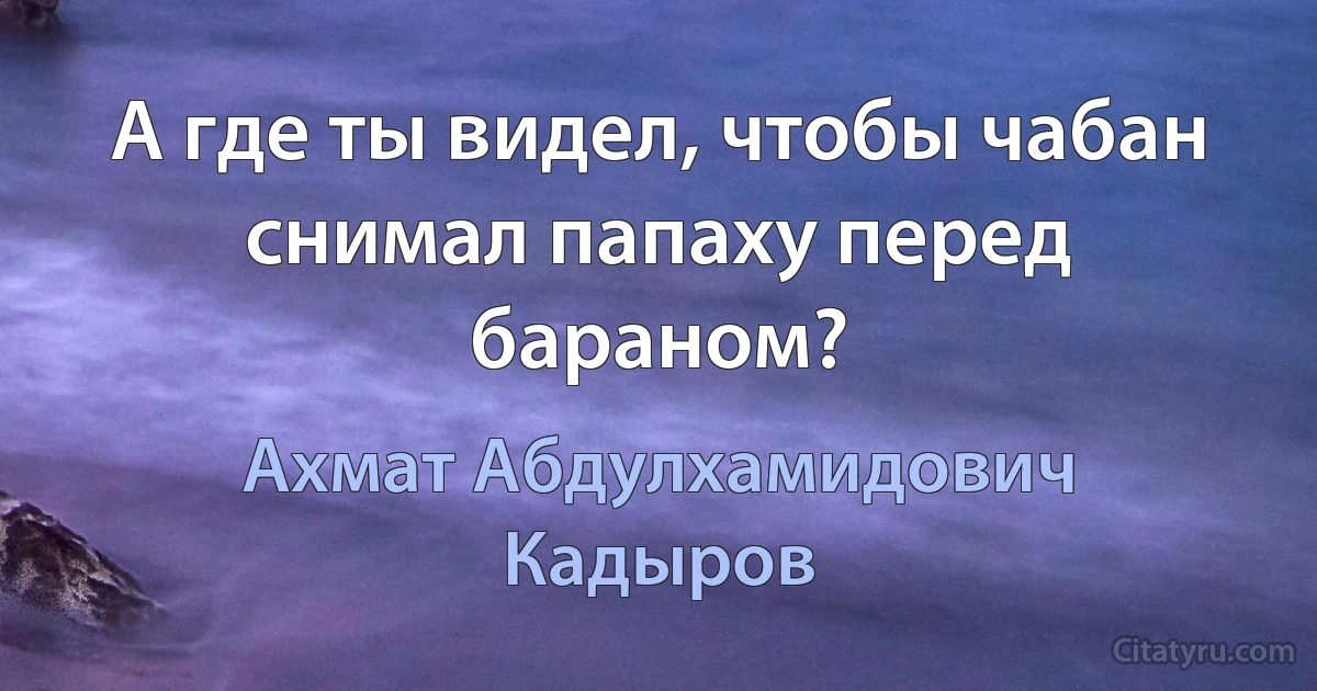 А где ты видел, чтобы чабан снимал папаху перед бараном? (Ахмат Абдулхамидович Кадыров)