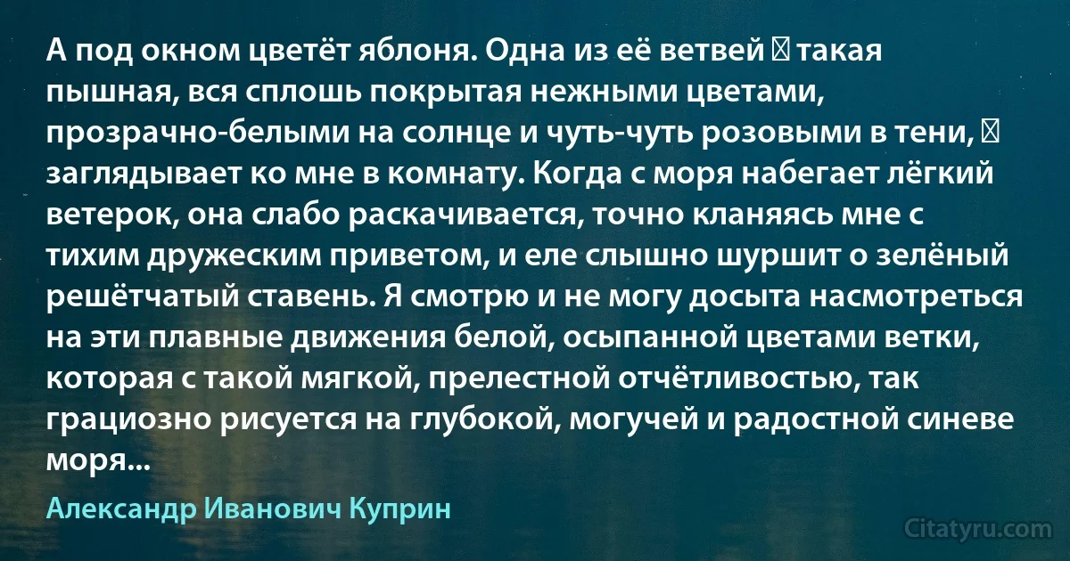 А под окном цветёт яблоня. Одна из её ветвей ― такая пышная, вся сплошь покрытая нежными цветами, прозрачно-белыми на солнце и чуть-чуть розовыми в тени, ― заглядывает ко мне в комнату. Когда с моря набегает лёгкий ветерок, она слабо раскачивается, точно кланяясь мне с тихим дружеским приветом, и еле слышно шуршит о зелёный решётчатый ставень. Я смотрю и не могу досыта насмотреться на эти плавные движения белой, осыпанной цветами ветки, которая с такой мягкой, прелестной отчётливостью, так грациозно рисуется на глубокой, могучей и радостной синеве моря... (Александр Иванович Куприн)