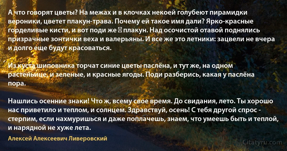 А что говорят цветы? На межах и в клочках некоей голубеют пирамидки вероники, цветет плакун-трава. Почему ей такое имя дали? Ярко-красные горделивые кисти, и вот поди же ― плакун. Над осочистой отавой поднялись призрачные зонтички веха и валерьяны. И все же это летники: зацвели не вчера и долго еще будут красоваться.

Из куста шиповника торчат синие цветы паслёна, и тут же, на одном растеньице, и зеленые, и красные ягоды. Поди разберись, какая у паслёна пора.

Нашлись осенние знаки! Что ж, всему свое время. До свидания, лето. Ты хорошо нас приветило и теплом, и солнцем. Здравствуй, осень! С тебя другой спрос - стерпим, если нахмуришься и даже поплачешь, знаем, что умеешь быть и теплой, и нарядной не хуже лета. (Алексей Алексеевич Ливеровский)