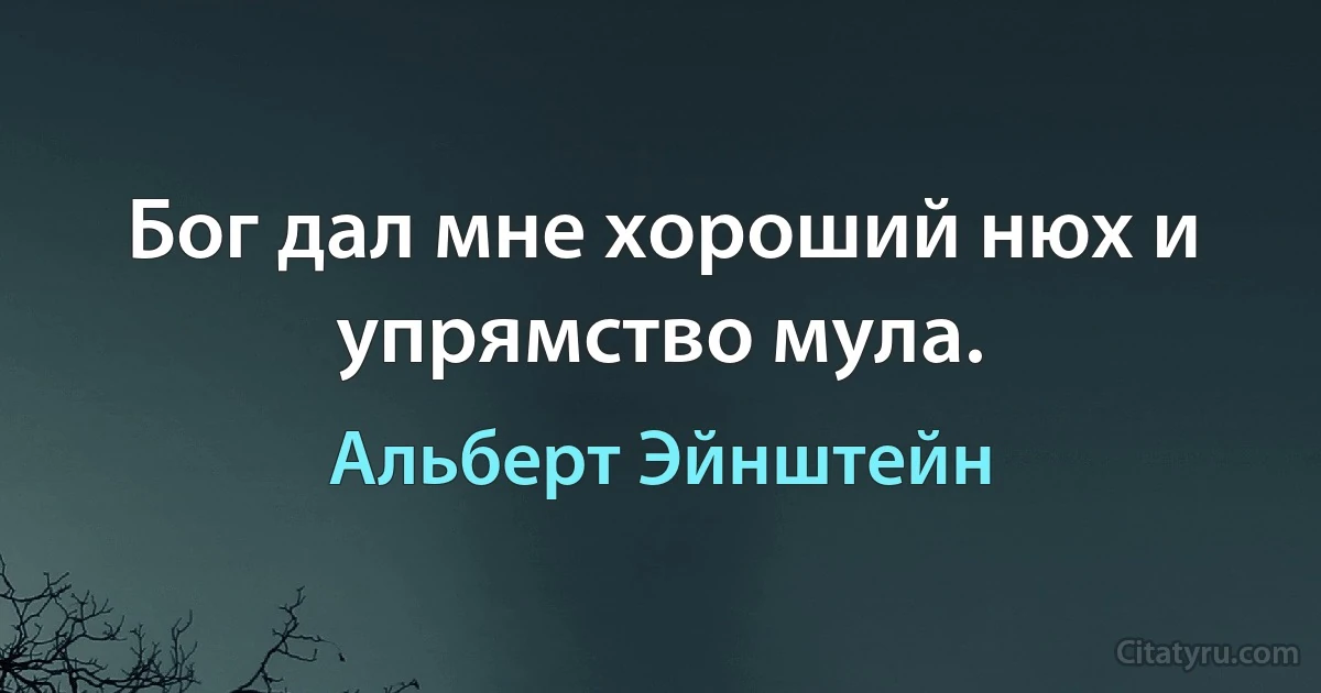 Бог дал мне хороший нюх и упрямство мула. (Альберт Эйнштейн)