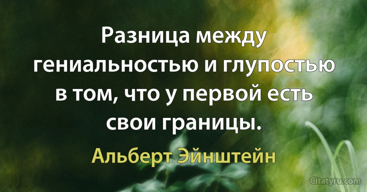 Разница между гениальностью и глупостью в том, что у первой есть свои границы. (Альберт Эйнштейн)