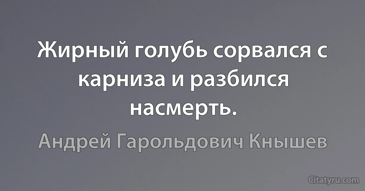 Жирный голубь сорвался с карниза и разбился насмерть. (Андрей Гарольдович Кнышев)