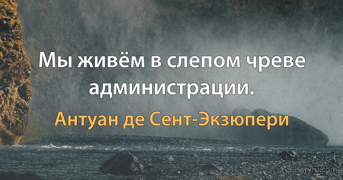 Мы живём в слепом чреве администрации. (Антуан де Сент-Экзюпери)