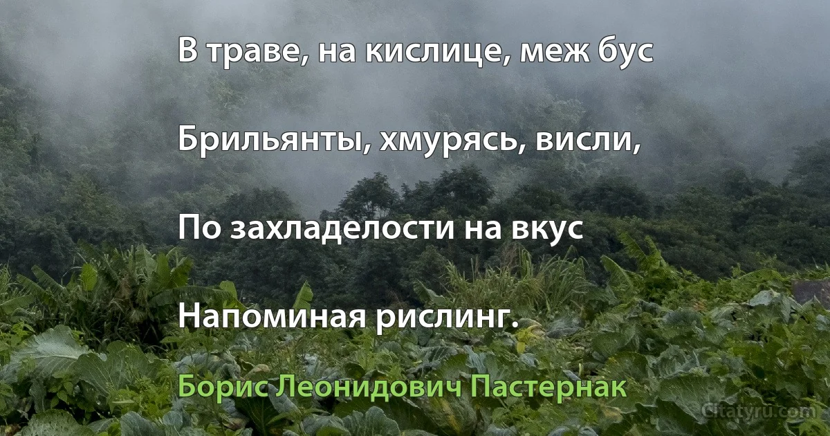 В траве, на кислице, меж бус

Брильянты, хмурясь, висли,

По захладелости на вкус

Напоминая рислинг. (Борис Леонидович Пастернак)