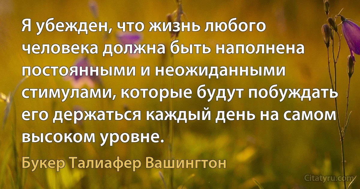 Я убежден, что жизнь любого человека должна быть наполнена постоянными и неожиданными стимулами, которые будут побуждать его держаться каждый день на самом высоком уровне. (Букер Талиафер Вашингтон)