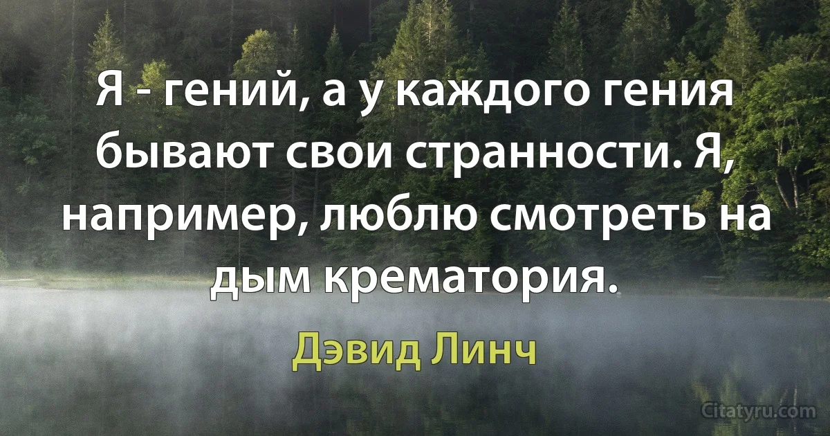 Я - гений, а у каждого гения бывают свои странности. Я, например, люблю смотреть на дым крематория. (Дэвид Линч)