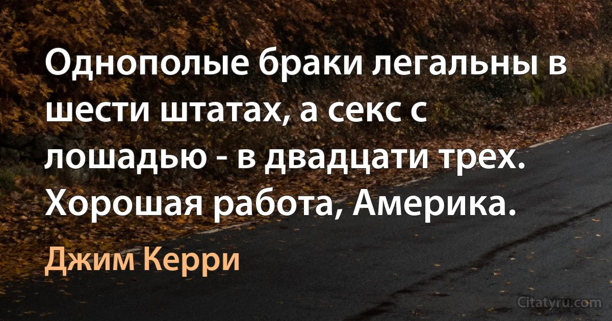 Однополые браки легальны в шести штатах, а секс с лошадью - в двадцати трех. Хорошая работа, Америка. (Джим Керри)