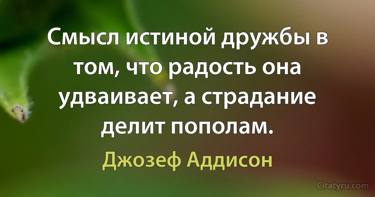 Смысл истиной дружбы в том, что радость она удваивает, а страдание делит пополам. (Джозеф Аддисон)