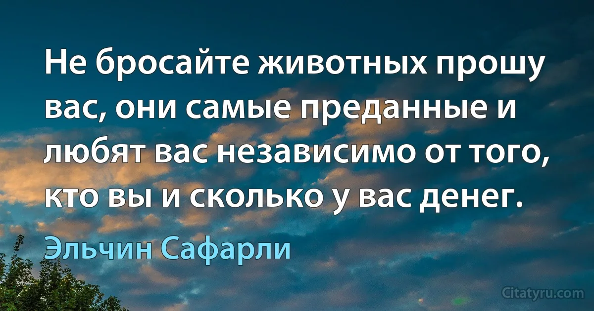 Не бросайте животных прошу вас, они самые преданные и любят вас независимо от того, кто вы и сколько у вас денег. (Эльчин Сафарли)