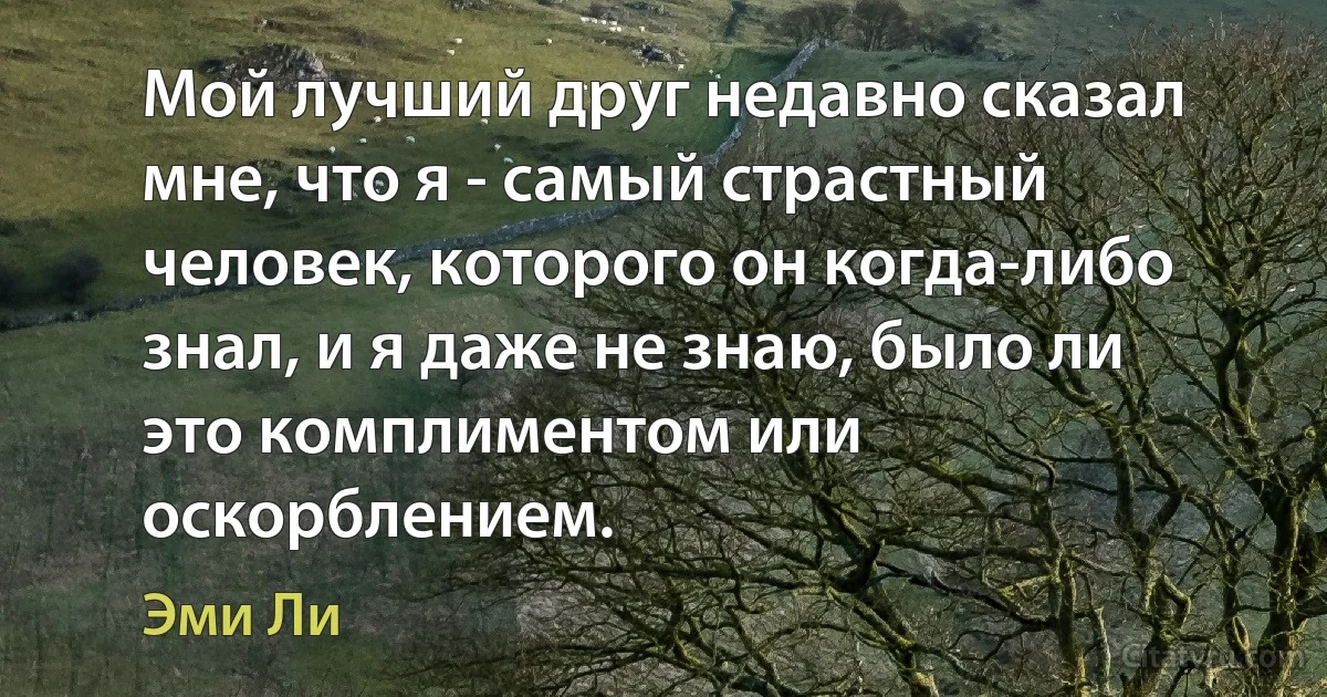 Мой лучший друг недавно сказал мне, что я - самый страстный человек, которого он когда-либо знал, и я даже не знаю, было ли это комплиментом или оскорблением. (Эми Ли)