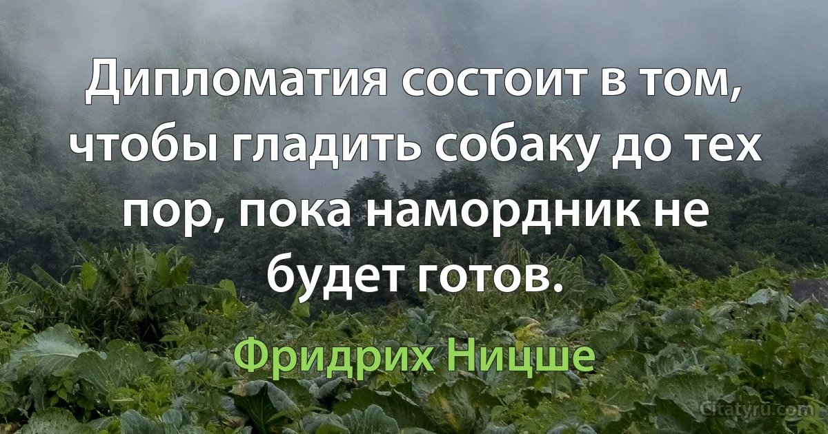 Дипломатия состоит в том, чтобы гладить собаку до тех пор, пока намордник не будет готов. (Фридрих Ницше)