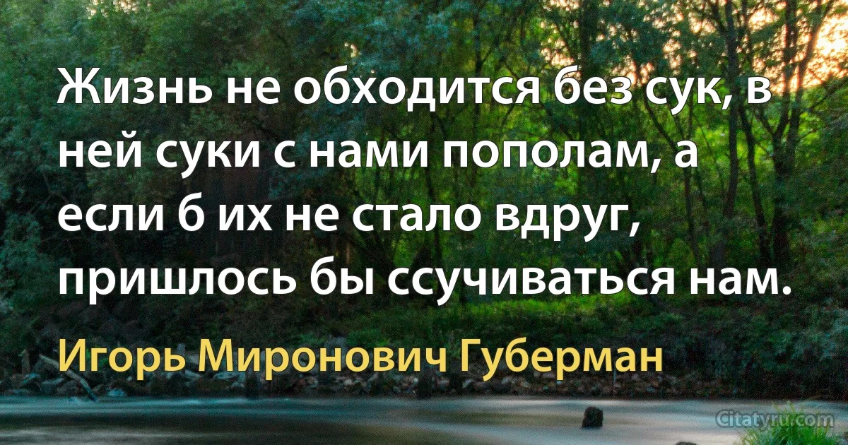 Жизнь не обходится без сук, в ней суки с нами пополам, а если б их не стало вдруг, пришлось бы ссучиваться нам. (Игорь Миронович Губерман)